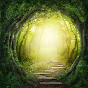 Past Life Regression Therapy